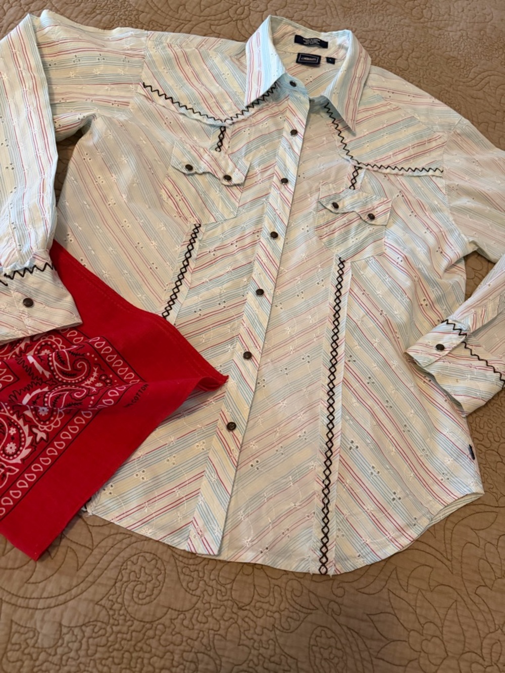 Cruel Girl Western Style Embroidered Snap Shirt Pastel Stripe Eyelet Rodeo, Sz L - Picture 12 of 14